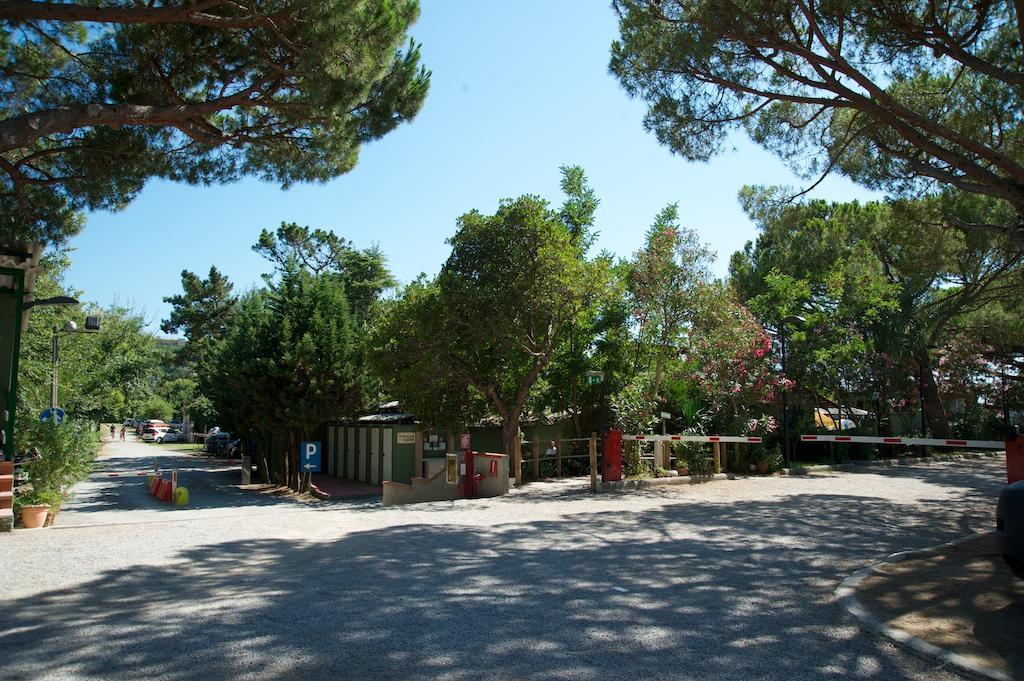 Camping Piper Puntone di Scarlino Luaran gambar